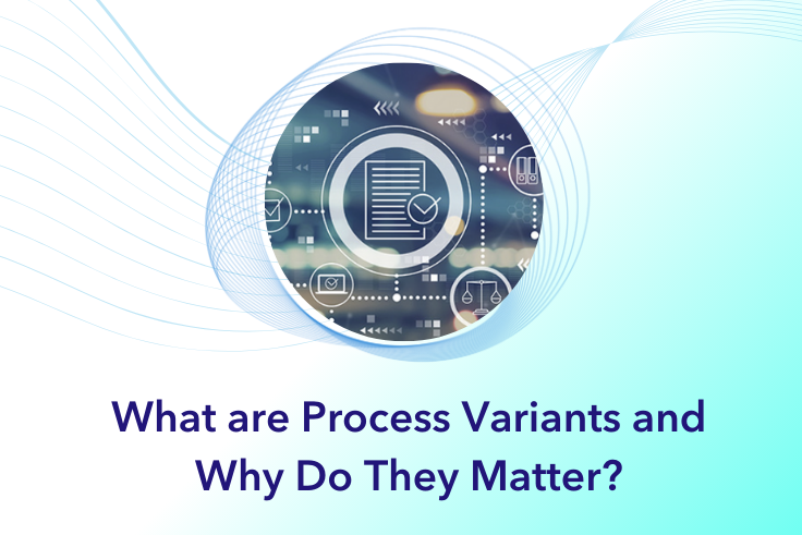 What are Process Variants and Why Do They Matter?